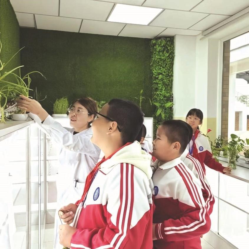 11月5日，佘治娟在阜康市晋阜小学水培室给学生讲解水培中草药的生长过程。 韩会丽 摄

