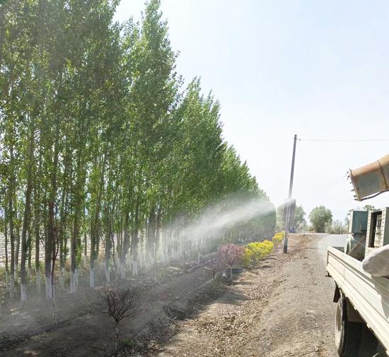 新疆兵团：1份公益诉讼检察建议“救活”万亩农田防护林