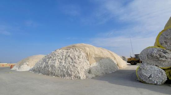 库尔勒：棉花收购加工企业开足马力生产