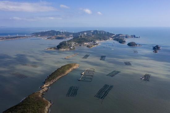 浙江椒江“水至清则有鱼” 守护黄鱼行业清