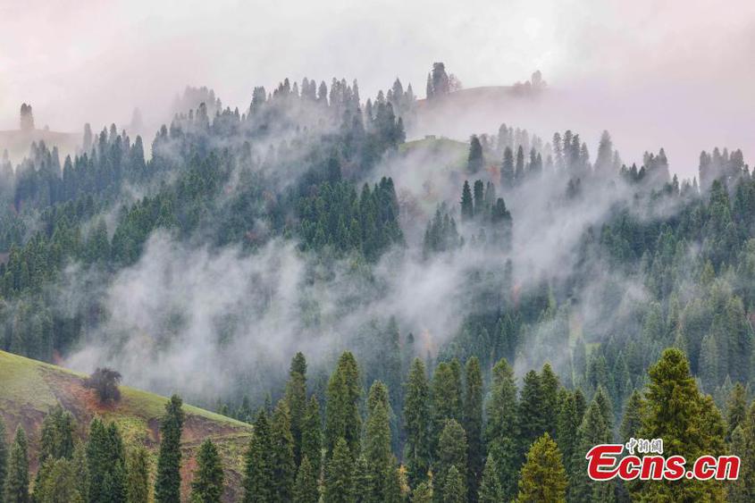 Spectacular landscape of fluffy clouds floating over Tianshan Mountains after a rainfall in northwest China's Xinjiang Uyghur Autonomous Region, Oct. 25, 2023. (Photo: China News Service/Zhang Wenting)