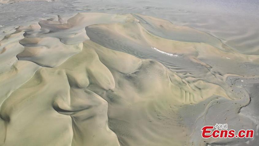 Sharp ridge at the edge of sand dunes with wind blown rippled sand pattern in Toksun County, northwest China's Xinjiang Uyghur Autonomous Region. (Photo: China News Service/Liu Yanmin)

