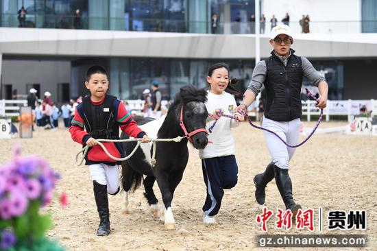 11月29日，贵阳市南明区建华实验小学的学生正在校园马术运动会上进行牵行路线比赛。