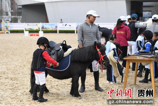 11月29日，在贵阳市南明区建华实验小学校园马术运动会上，学生们正在进行备马比赛。