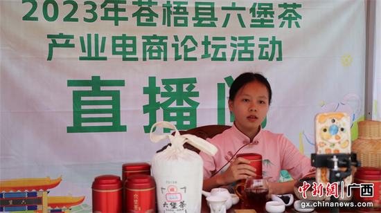 2023年苍梧县六堡茶产业电商论坛：探讨六堡茶电商发展之路