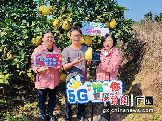 5G直播沙田柚销售。卢田田 摄