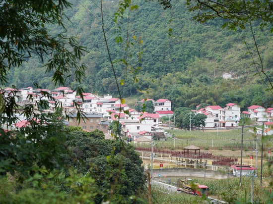 丹桂村民宅错落有致