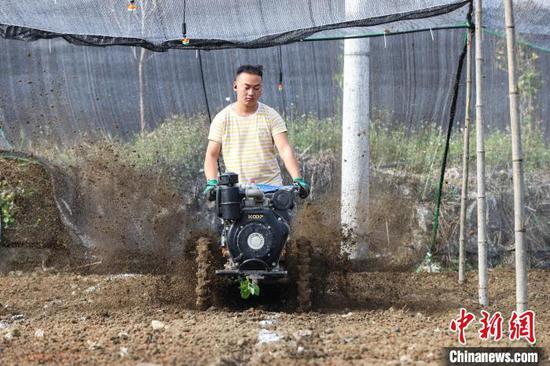 图为一位工作人员在用微耕机覆土。　中新网记者 瞿宏伦 摄