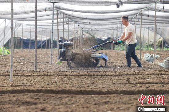 图为一位工作人员在用微耕机覆土。 中新网记者 瞿宏伦 摄