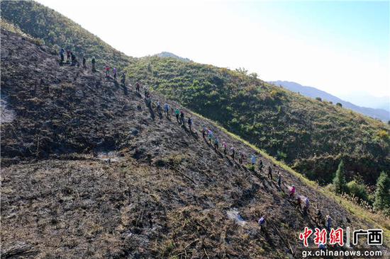 韦吉阳 潘志祥 摄影报道 韦吉阳 潘志祥 摄影报道