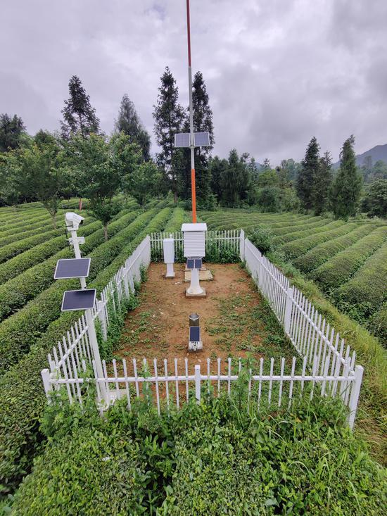 印江自治县新寨镇团山茶产业园农业产业气象服务自动监测系统正在工作