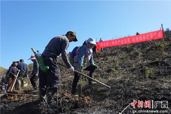 韦吉阳 潘志祥 摄影报道 韦吉阳 潘志祥 摄影报道