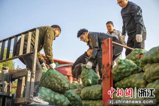 工作人员将小土豆集中装车 德清县委统战部供图