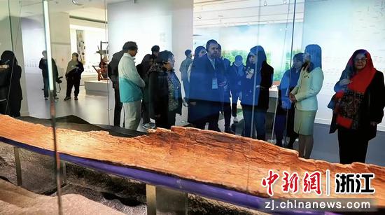 　阿方嘉宾观看目前国内考古发掘出土的最完整的史前独木舟。 临平区委宣传部供图