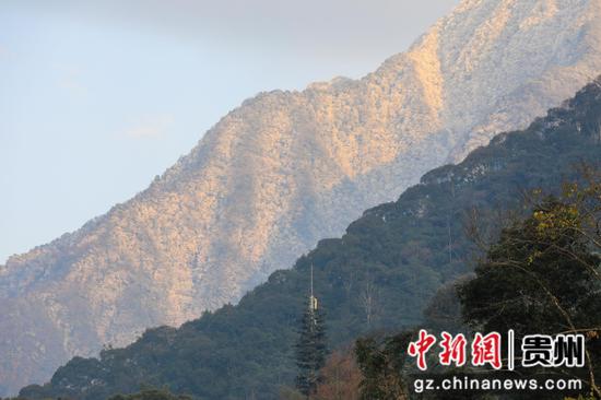 2023年12月20日，在世界自然遗产地梵净山景区拍摄的冬雪美景。李鹤摄