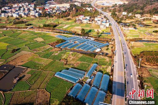 贵州省从江县贯洞镇龙图村的油菜种植基地。吴德军 摄