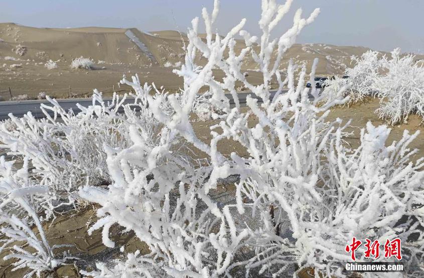 新疆博湖：沙漠腹地出現霧凇景觀