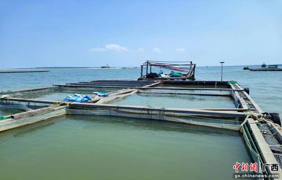 广西北部湾银行金融支持北海铁山港渔业养殖