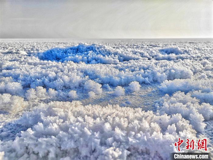 绝美冰花绽放新疆博斯腾湖湖畔