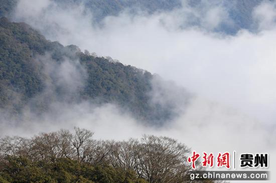 2024年1月6日，在世界自然遗产地梵净山景区拍摄的冬日风景。李鹤摄