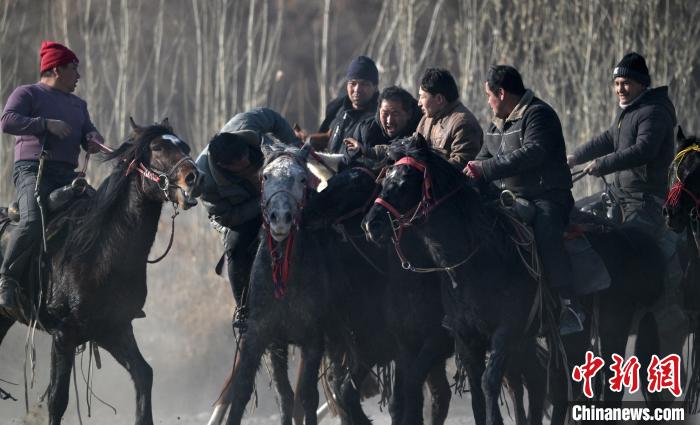 新疆焉耆：农牧民叼羊比赛场面热烈