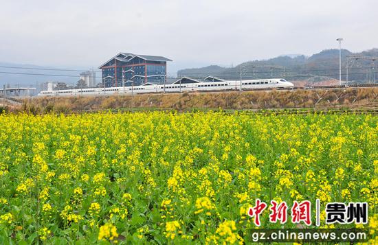2024年1月9日，一列动车组列车在贵州省黔东南苗族侗族自治州从江县境内行驶。
