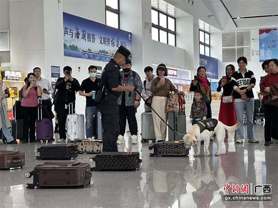 警犬“小布”表演搜索违禁品，旅客纷纷驻足观看。 韦家智  摄