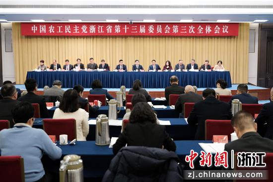 农工党浙江省第十三届委员会第三次全体会议现场。曹丹摄