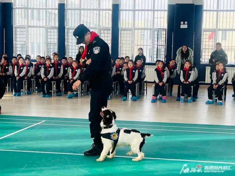 警犬進校園秀“絕活”，一場別樣教育課