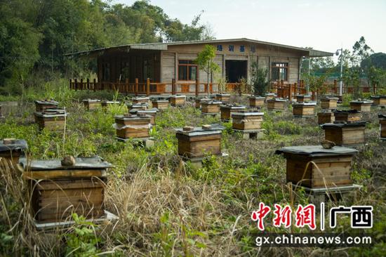 蒙山县发展‘甜蜜经济’助推生态产品价值实现，图为甘棠村智慧养蜂场。黄俊 摄