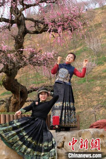 游客在贵州梅园自拍“打卡”。中新网记者 石小杰 摄