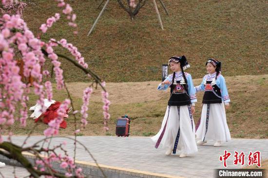 游客在贵州梅园“花间起舞”。中新网记者 石小杰 摄