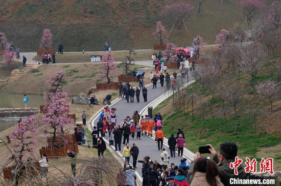 游客在贵州梅园游览观赏。中新网记者 石小杰 摄