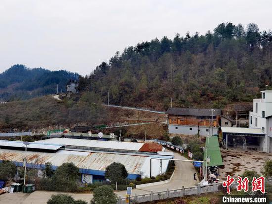 图为贵州思南县三道水乡周寨村的红薯粉加工厂一隅。周燕玲 摄