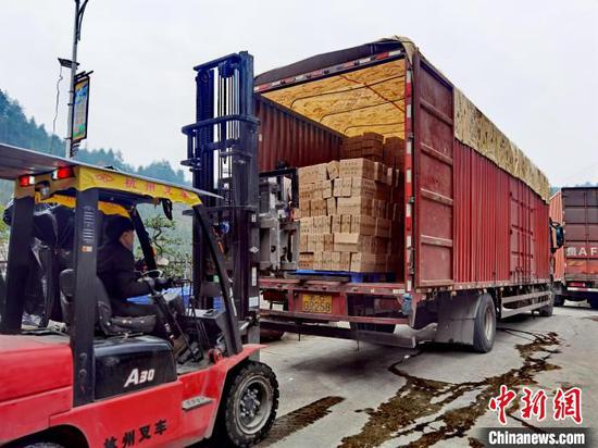 在贵州思南县三道水乡周寨村，工人将包装好的陈薯酸辣粉转运到货车厢内。周燕玲摄
