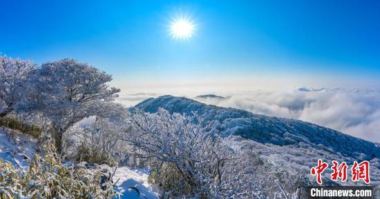 图为贵州雷公山雪景。吴大平 摄