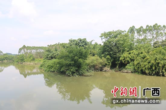 图为修复前的桂林桃花江。