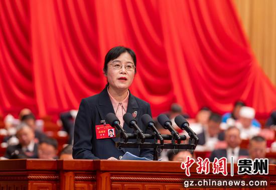 蒋骞委员。唐哲 摄 蒋骞委员。唐哲 摄