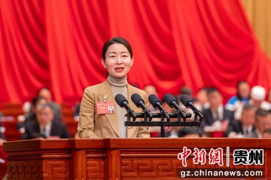 洪雯委员。唐哲摄 洪雯委员。唐哲摄