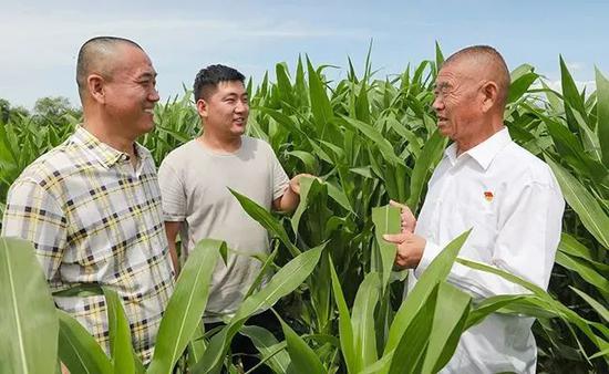 卜现运向职工讲述种植玉米要点（资料图片）。