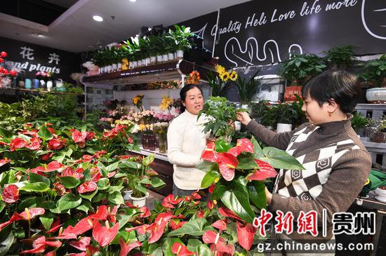 1月26日，市民在贵阳市南明区合力超市花果园R区店内选购花卉。
