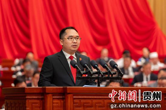 杨锐委员。唐哲 摄 杨锐委员。唐哲 摄
