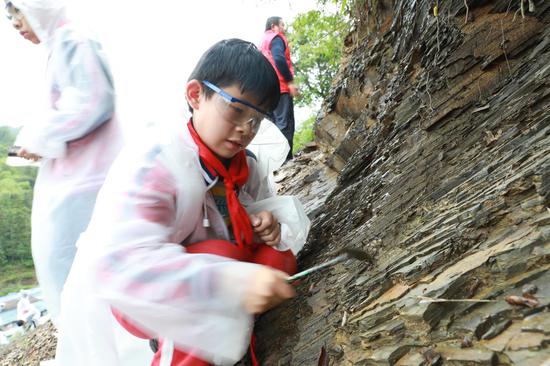 游客在贵州省剑河县八郎古生物化石景区的体验区采集化石。