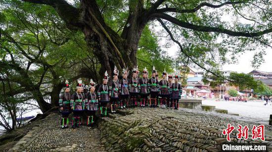当地侗族同胞正在古榕树下唱侗族大歌。 周光胜 摄