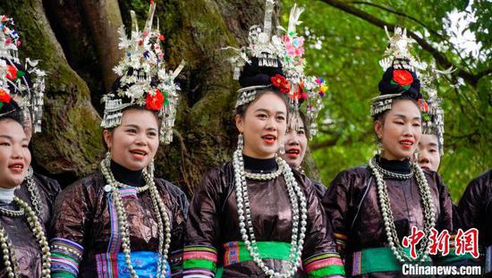 图为当地侗族同胞正在古榕树下唱侗族大歌。 周光胜 摄