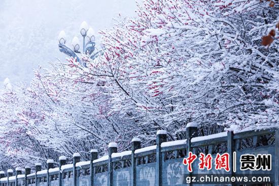 剑河温泉雪景 。杨露摄
