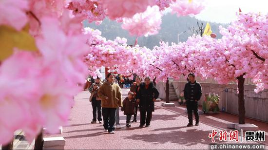 游客在赛马城内场的樱花大道上拍照打卡
