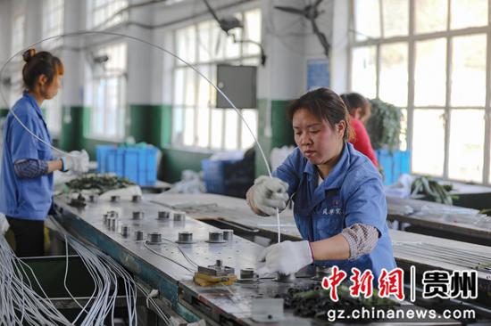 绥阳县华丰电器有限公司全力以赴订单 ，工人们以饱满的热情投入新一年的工作中 。陈贤琴摄