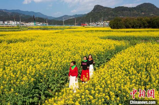 民众在贵州省从江县贯洞镇油菜花田游玩。吴德军 摄
