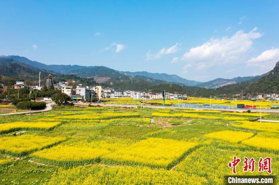 贵州省从江县贯洞镇的油菜花田景色。吴德军 摄